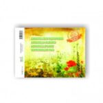 Akvarelinis sąsiuvinis SMLT, A4, 200 g, klijuotas, (10)  0708-205