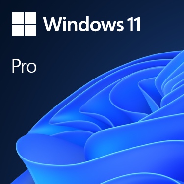 93894560_2141073429 Operacinė sistema Microsoft Windows 11 Pro 64-Bit DVD OEM English International (EN) - Image 1